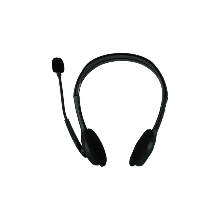 Logitech H110 stereo headset with noise reducing microphone for PC and laptop